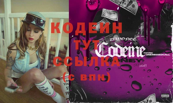 хмурый Семилуки